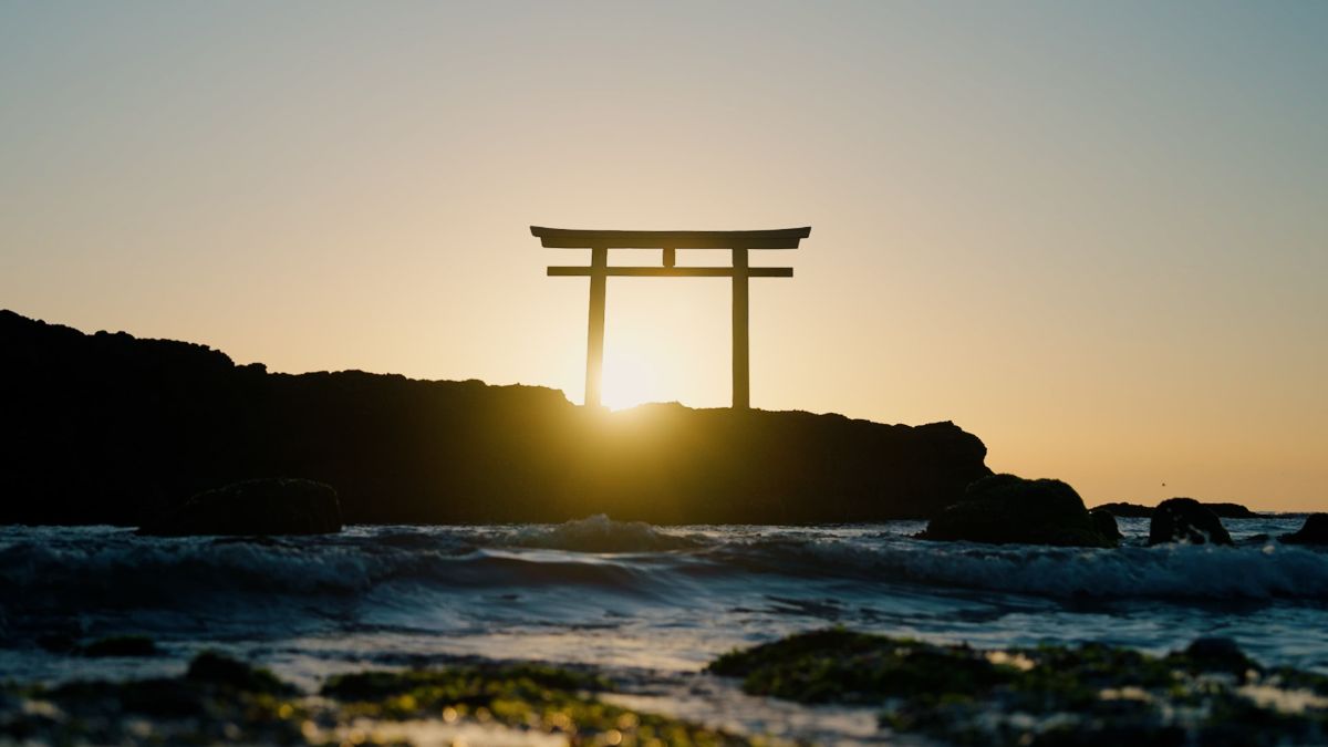 新緑の森に囲まれた吊り橋を歩く人物