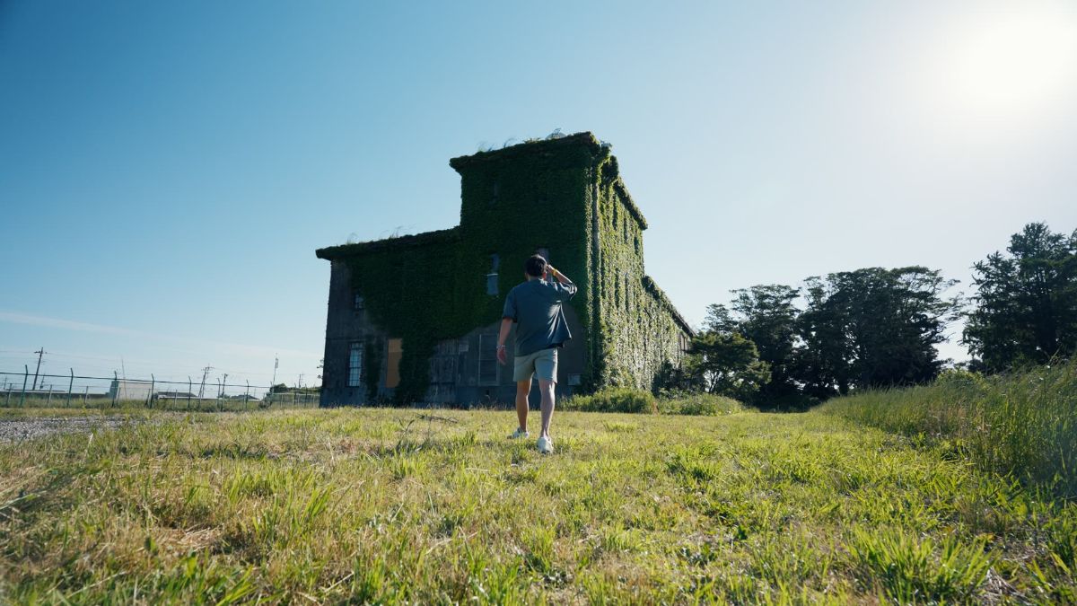蔦に覆われた廃墟の建物を見上げる人物の後ろ姿