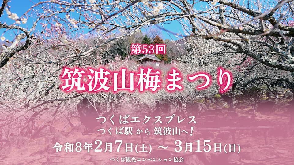筑波山梅まつり2026 広告